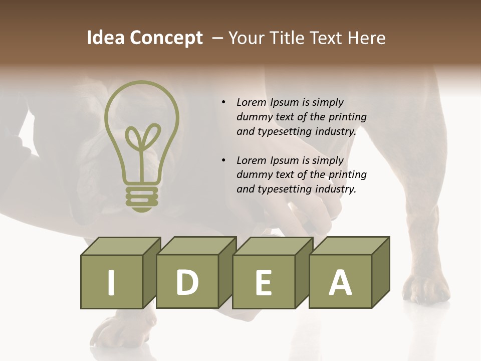 Clean Grooming Visual PowerPoint Template