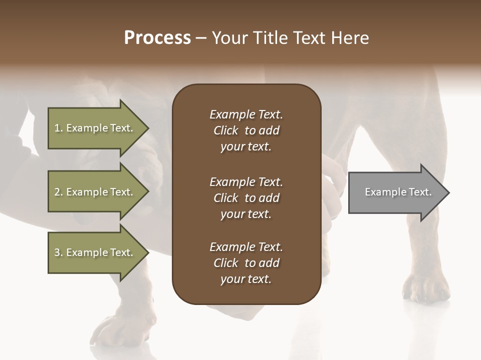 Clean Grooming Visual PowerPoint Template