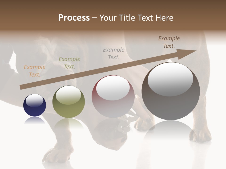 Clean Grooming Visual PowerPoint Template