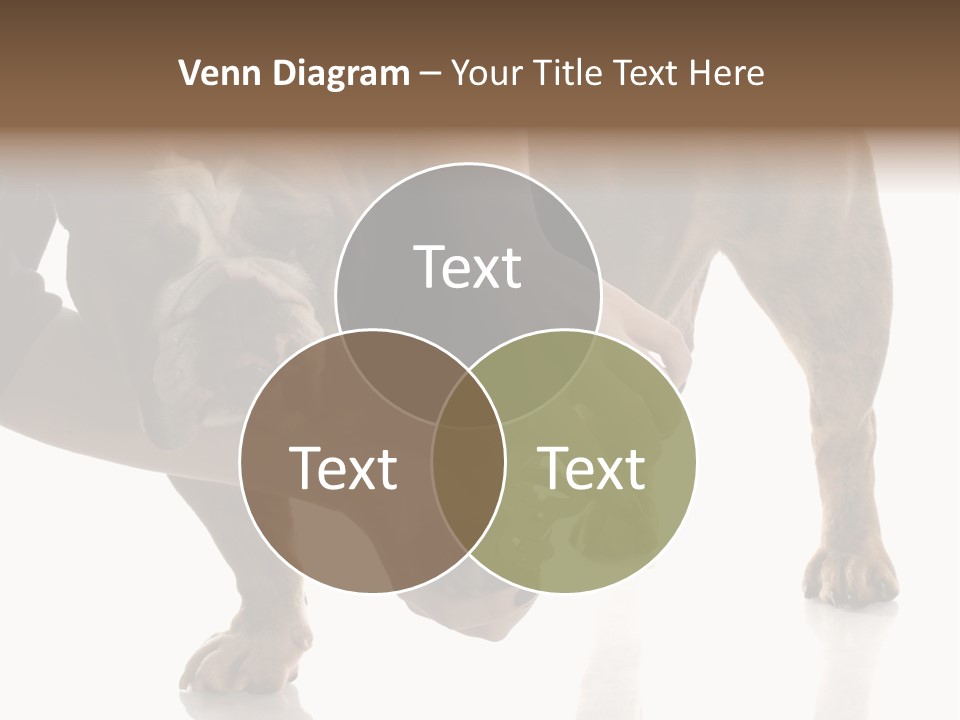 Clean Grooming Visual PowerPoint Template