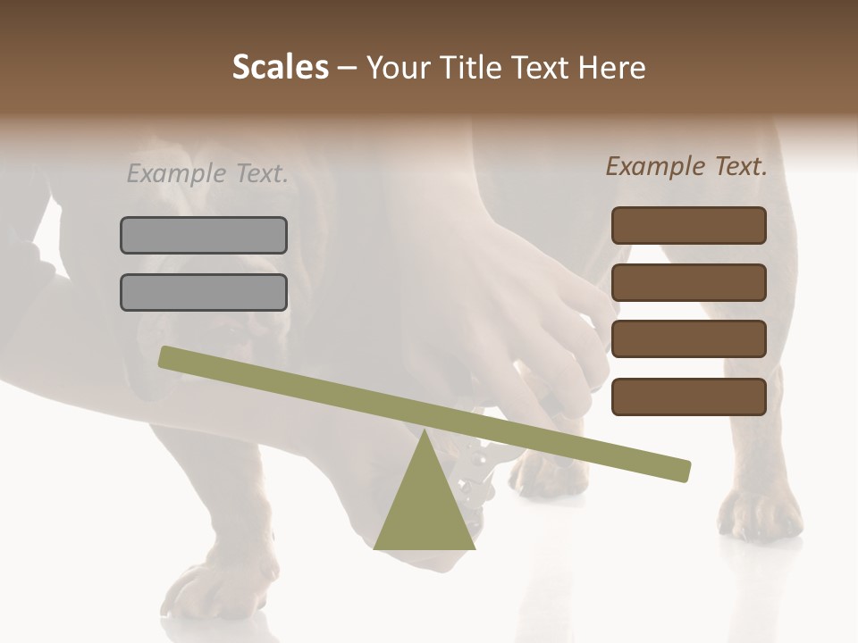Clean Grooming Visual PowerPoint Template