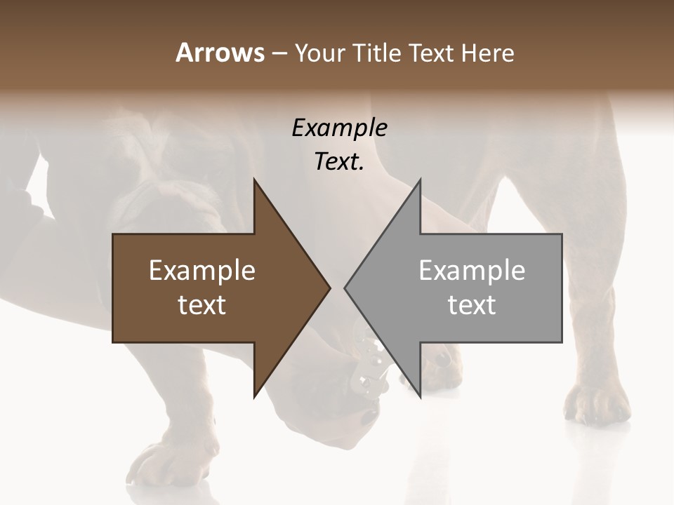 Clean Grooming Visual PowerPoint Template