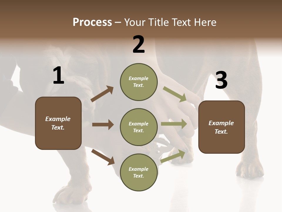 Clean Grooming Visual PowerPoint Template