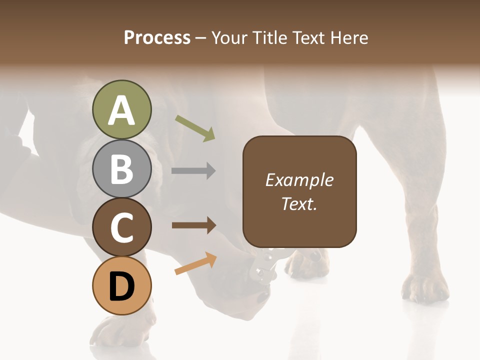 Clean Grooming Visual PowerPoint Template