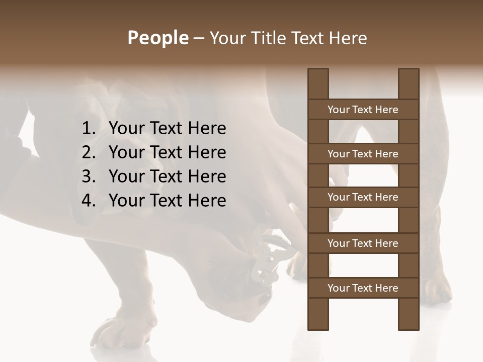 Clean Grooming Visual PowerPoint Template