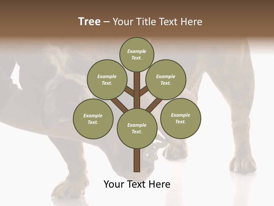 Clean Grooming Visual PowerPoint Template