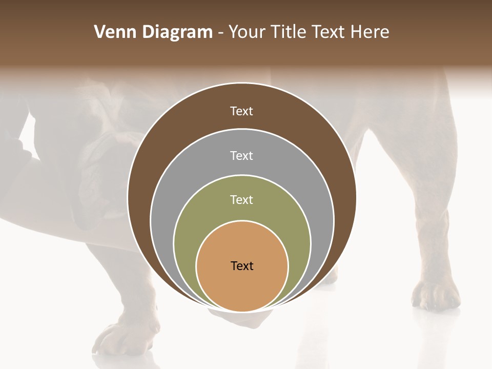 Clean Grooming Visual PowerPoint Template