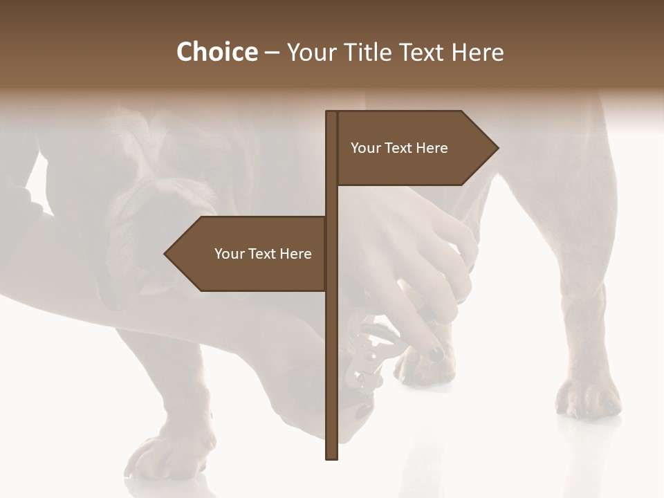 Clean Grooming Visual PowerPoint Template