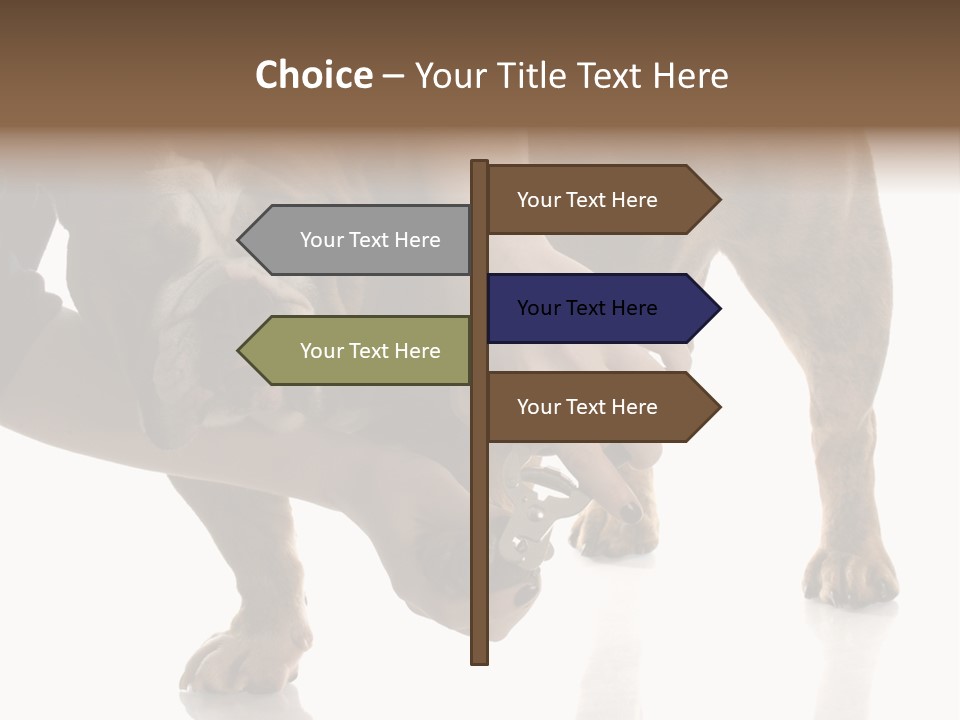 Clean Grooming Visual PowerPoint Template
