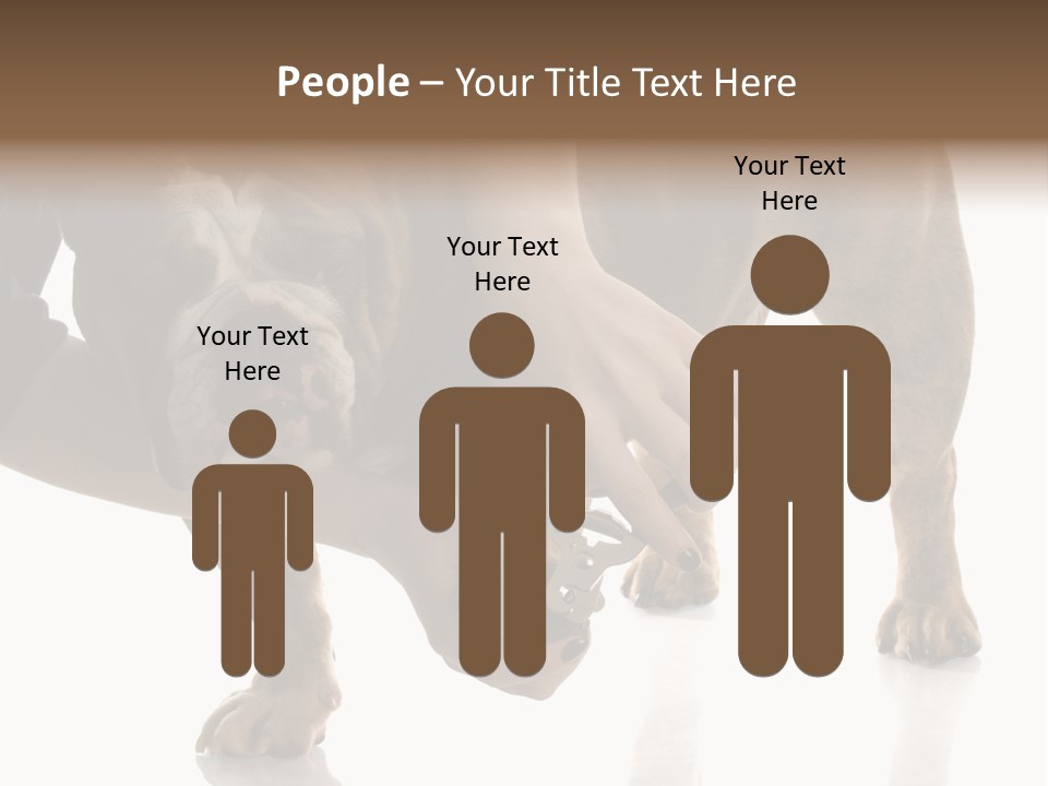 Clean Grooming Visual PowerPoint Template