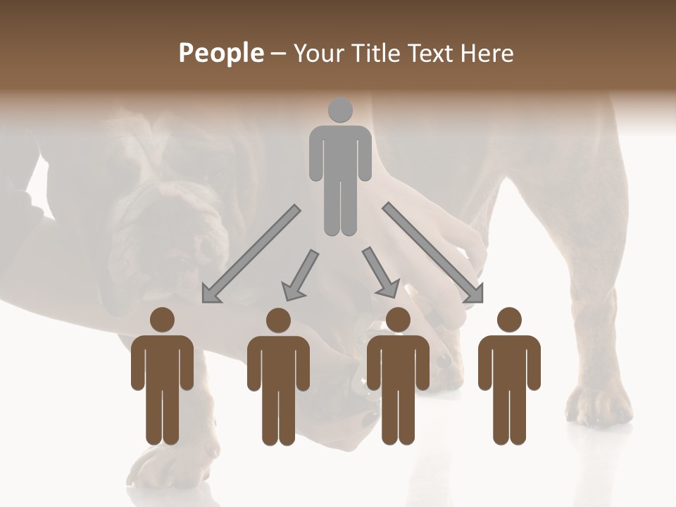 Clean Grooming Visual PowerPoint Template