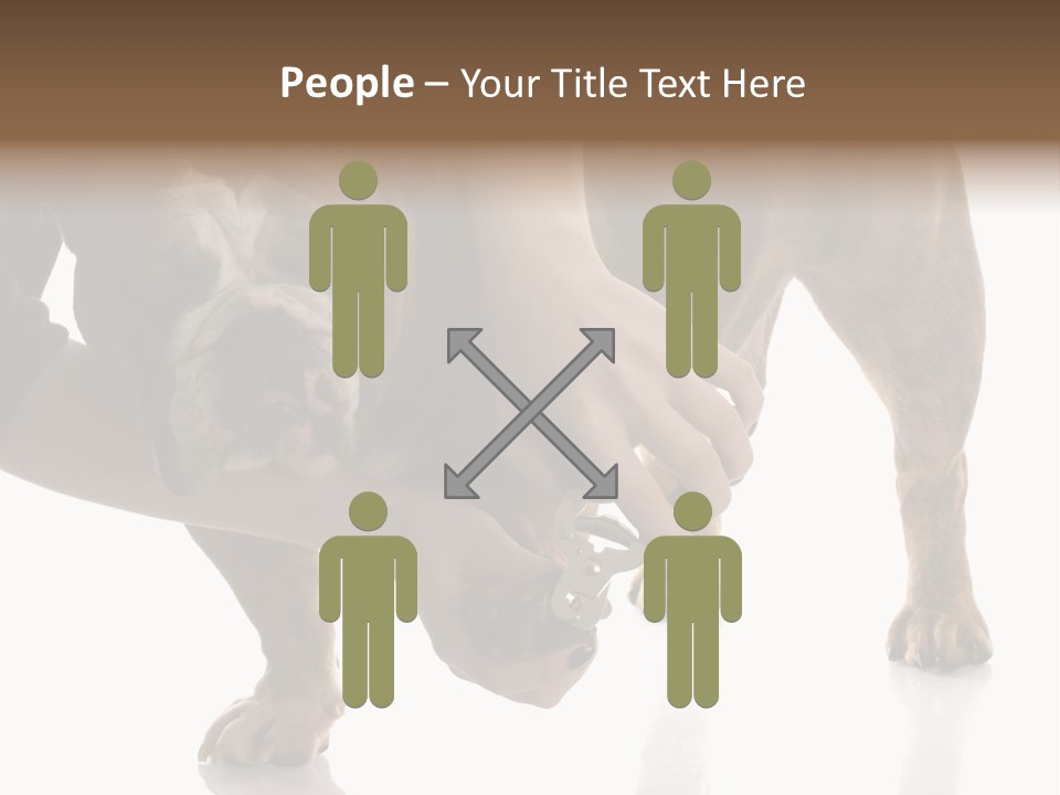 Clean Grooming Visual PowerPoint Template