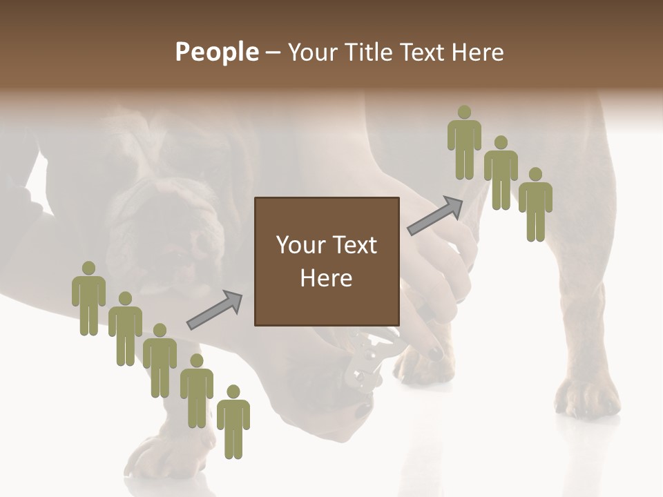 Clean Grooming Visual PowerPoint Template