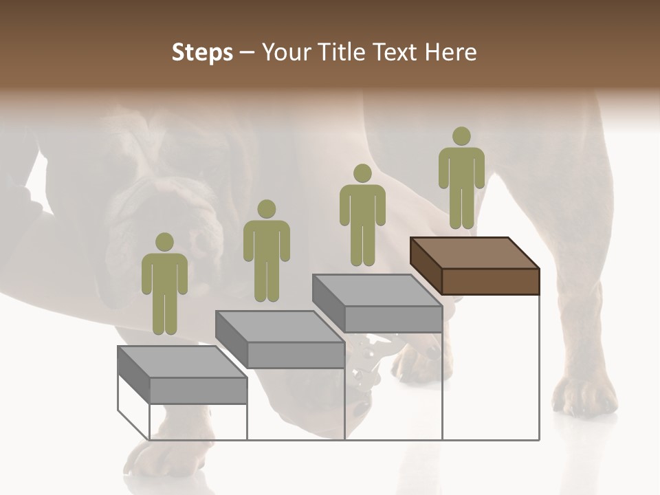 Clean Grooming Visual PowerPoint Template