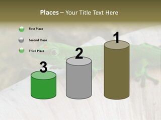 Wilderness Bright Sitting PowerPoint Template