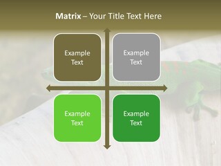 Wilderness Bright Sitting PowerPoint Template