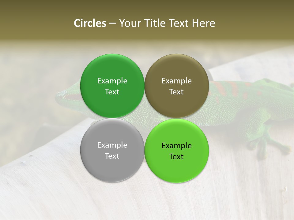 Wilderness Bright Sitting PowerPoint Template