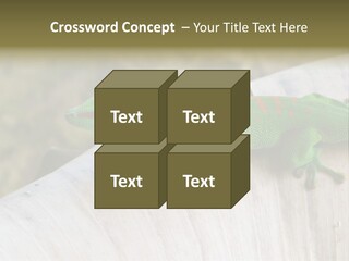 Wilderness Bright Sitting PowerPoint Template