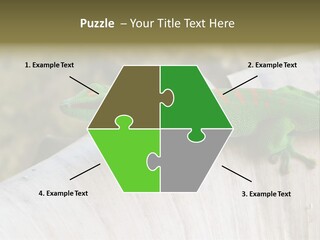 Wilderness Bright Sitting PowerPoint Template