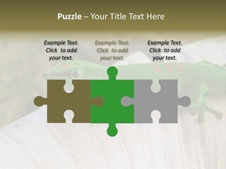 Wilderness Bright Sitting PowerPoint Template