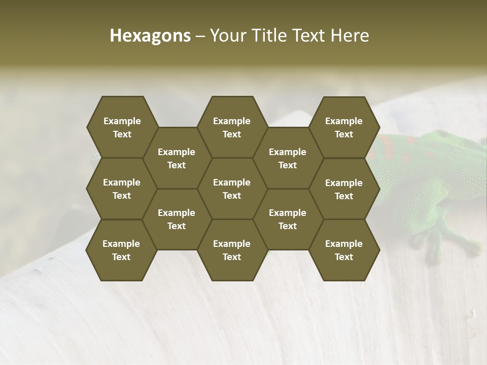 Wilderness Bright Sitting PowerPoint Template