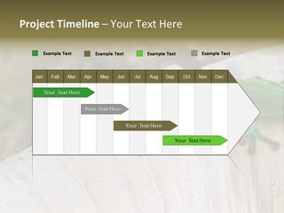 Wilderness Bright Sitting PowerPoint Template