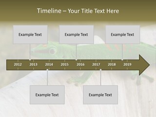 Wilderness Bright Sitting PowerPoint Template
