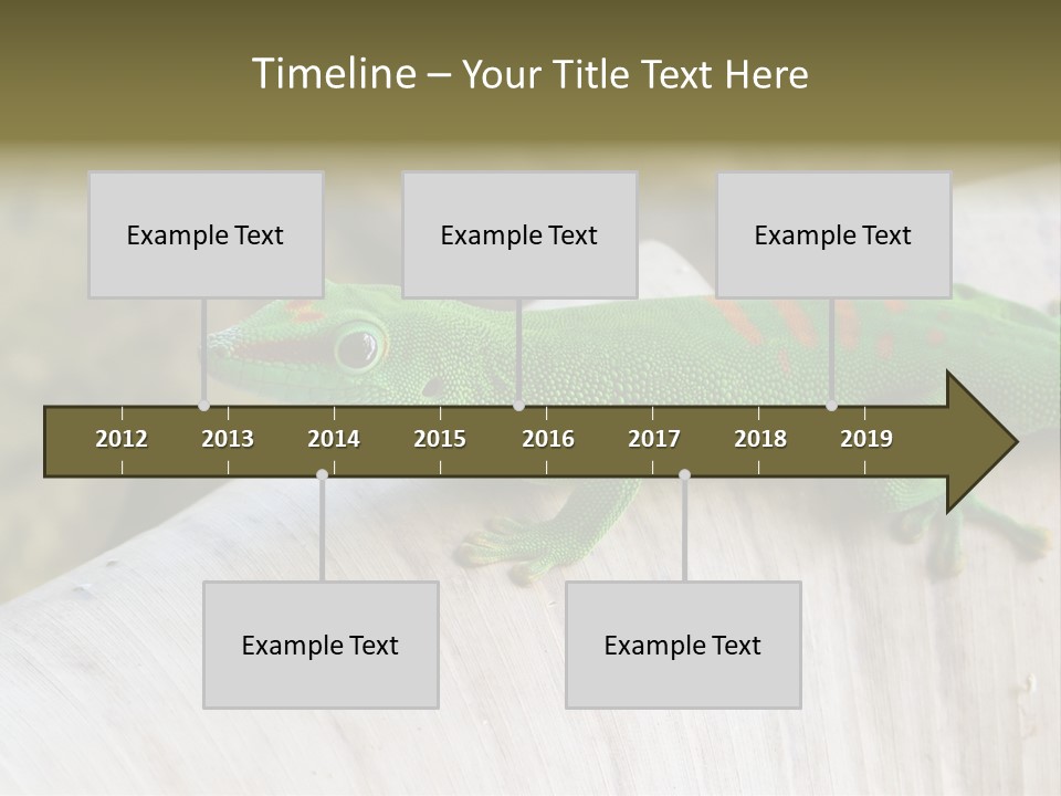 Wilderness Bright Sitting PowerPoint Template