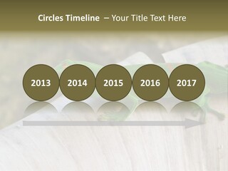 Wilderness Bright Sitting PowerPoint Template