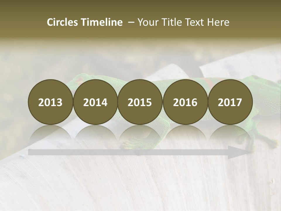 Wilderness Bright Sitting PowerPoint Template