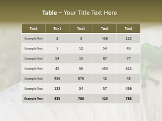 Wilderness Bright Sitting PowerPoint Template