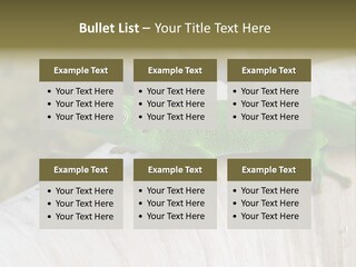 Wilderness Bright Sitting PowerPoint Template