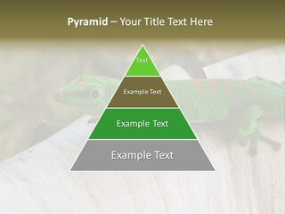 Wilderness Bright Sitting PowerPoint Template