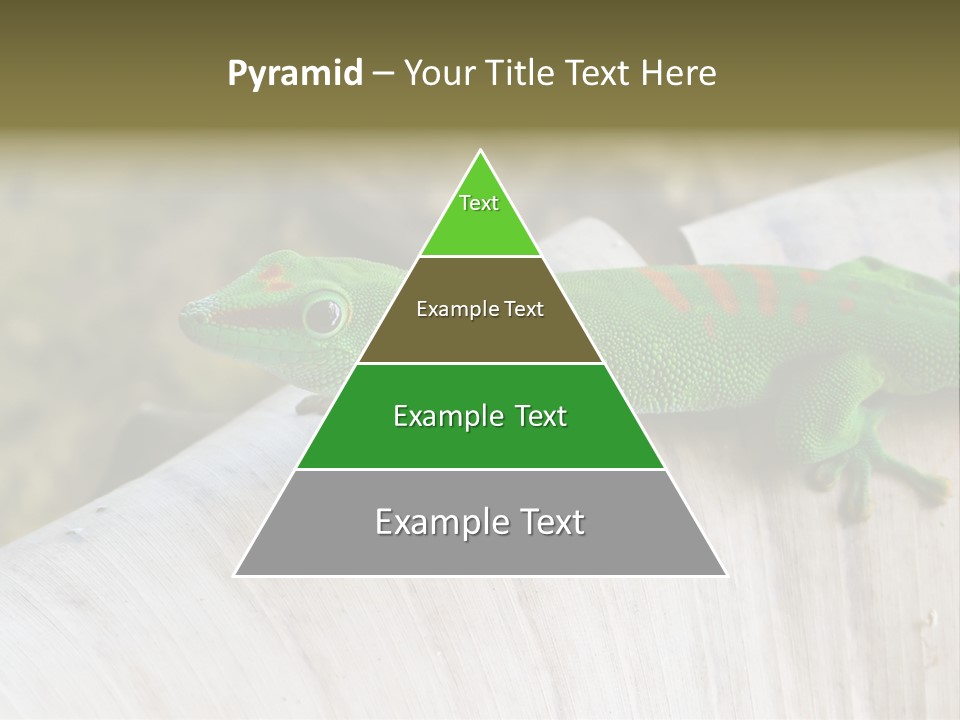 Wilderness Bright Sitting PowerPoint Template