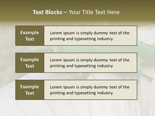 Wilderness Bright Sitting PowerPoint Template