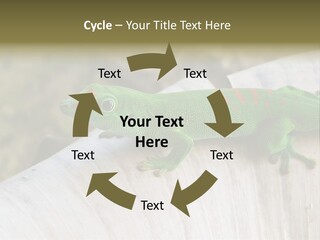 Wilderness Bright Sitting PowerPoint Template