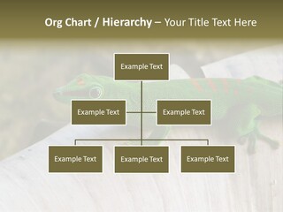 Wilderness Bright Sitting PowerPoint Template