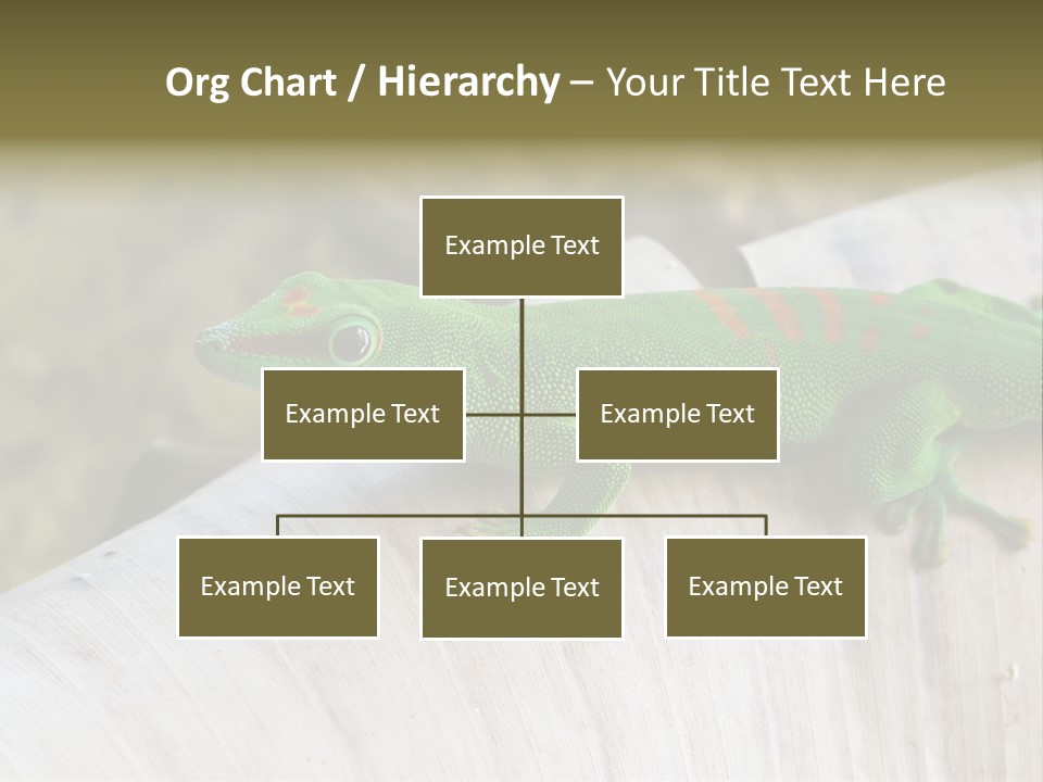 Wilderness Bright Sitting PowerPoint Template