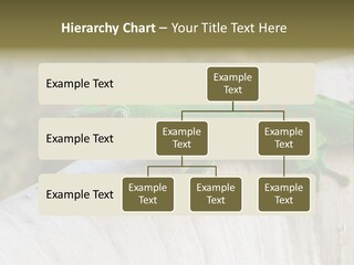 Wilderness Bright Sitting PowerPoint Template