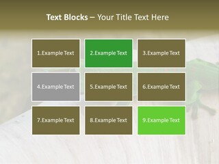 Wilderness Bright Sitting PowerPoint Template