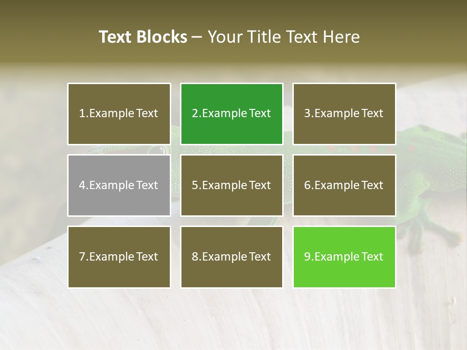 Wilderness Bright Sitting PowerPoint Template