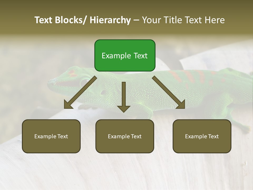 Wilderness Bright Sitting PowerPoint Template