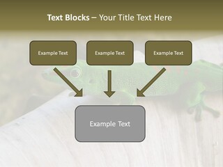 Wilderness Bright Sitting PowerPoint Template