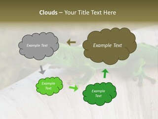 Wilderness Bright Sitting PowerPoint Template
