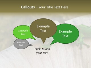 Wilderness Bright Sitting PowerPoint Template