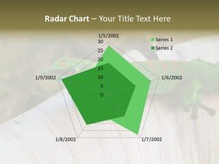Wilderness Bright Sitting PowerPoint Template