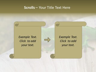 Wilderness Bright Sitting PowerPoint Template