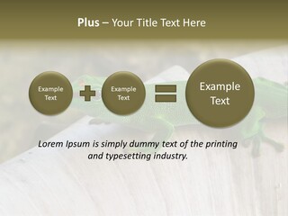 Wilderness Bright Sitting PowerPoint Template