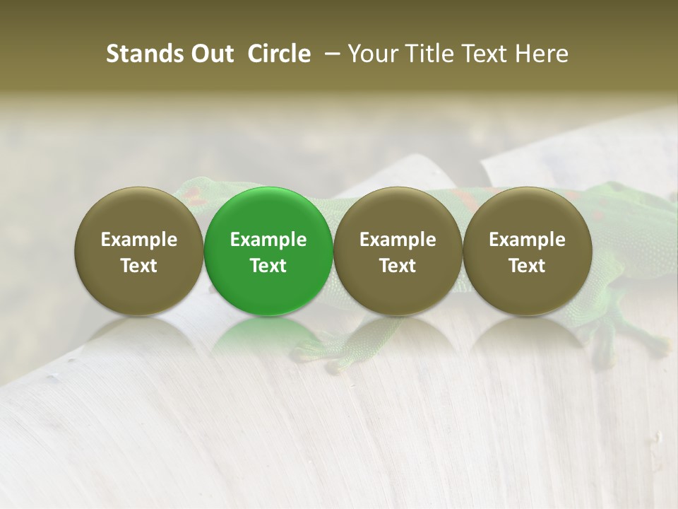 Wilderness Bright Sitting PowerPoint Template