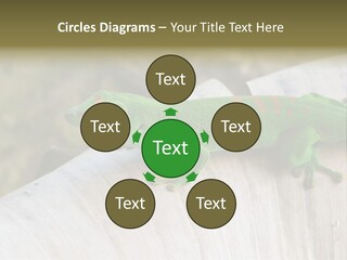 Wilderness Bright Sitting PowerPoint Template